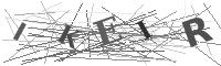 Please refresh your browser to see this image.