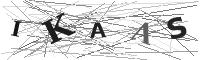 Please refresh your browser to see this image.