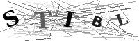 Please refresh your browser to see this image.