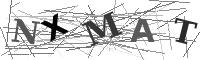 Please refresh your browser to see this image.